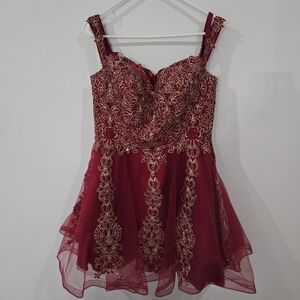 Anny Lee Sz XL Red Sleeveless V Neckline Zipper Embroidered Dress